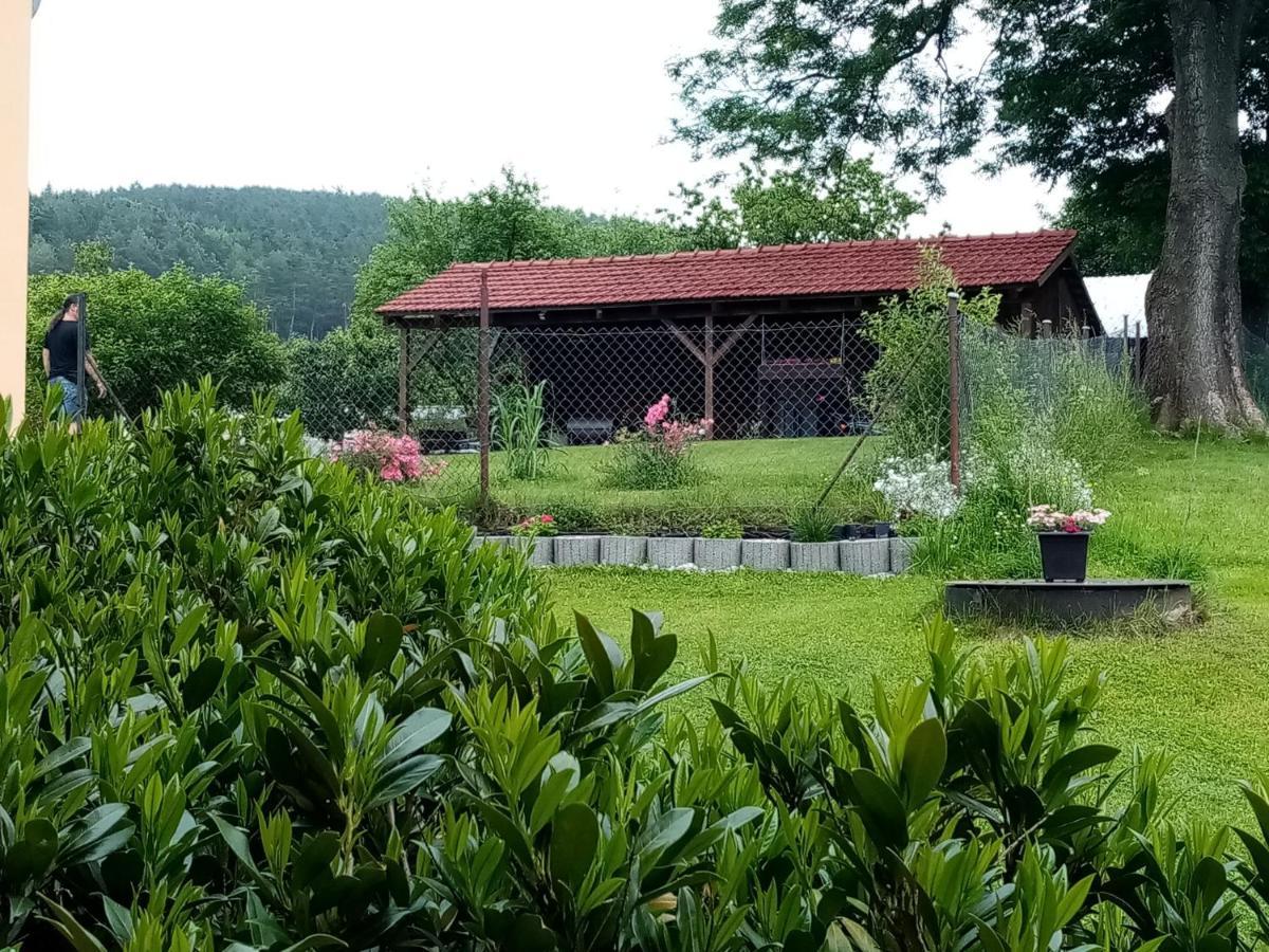 MiJa apartmán s VINNÝM SKLÍPKEM, zahradou a grilem Kájov Exterior foto